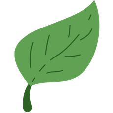 Nauka angielskiego online bez dojazdów w Krotoszynie oszczędność czasu i pieniędzy dzięki lekcjom zdalnym